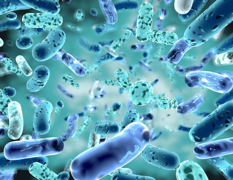 bacterial strain3d illustration